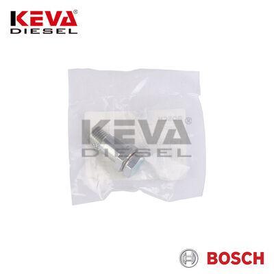 1417413000 Bosch Overflow Valve - 2