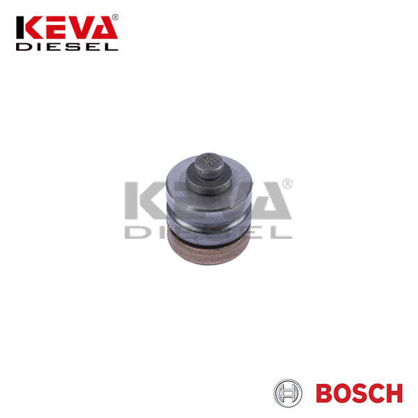 1418512229 Bosch Pump Delivery Valve for Case