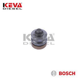 Bosch - 1418512229 Bosch Pump Delivery Valve for Case