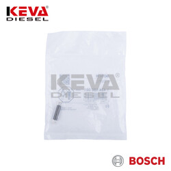 1424650081 Bosch Governor Spring for Khd-Deutz, Renault, Volvo - 2