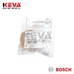 Bosch - 1466110617 Bosch Cam Plate