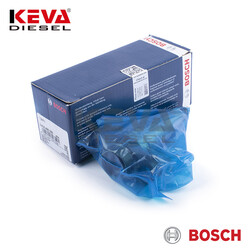 2418455356 Bosch Pump Element - Bosch