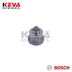 2418502003 Bosch Pump Delivery Valve for Renault, Agria - Thumbnail