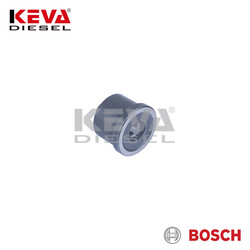 2418552001 Bosch Pump Delivery Valve for Fiat, Iveco, Alfa Romeo, Lancia, Magirus-deutz - Thumbnail