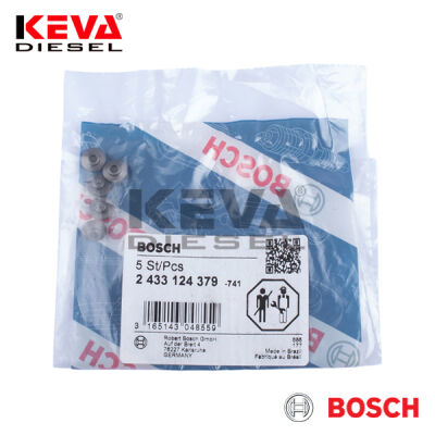 2433124379 Bosch Pressure Spindle - 1