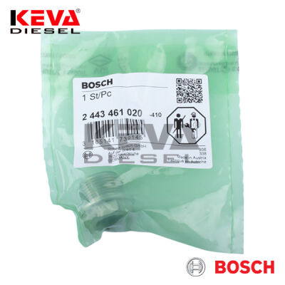 2443461020 Bosch Fitting - 1