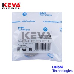 7139-541 Delphi Liner - Delphi