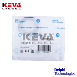 7182-543 Delphi Plate - 1
