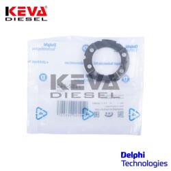 7182-543 Delphi Plate - 2