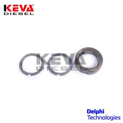 7189-100BL Delphi Cam Ring & Scroll Plate Kit - 2