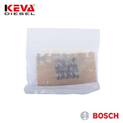 9461610126 Bosch Rotor Spring for Isuzu, Mazda, Nissan, Ud Trucks - Thumbnail