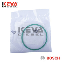 F00N200053 Bosch Sealing Ring - Thumbnail