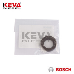 F00R0P0253 Bosch Oil Seal for Great Wall, Renault - 2