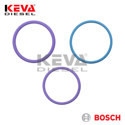 F00VX99998 Bosch Repair Kit for Dtc (Diesel Technology) - 1