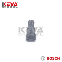F019D01702 Bosch Valve Set for Faw, Foton, Great Wall, Jiangling, Kunming Yunnei Power - 3
