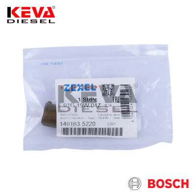 F01G19W04Z Bosch Pump Element - 1