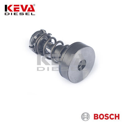 F01M101347 Bosch Pump Element for Renault - 3
